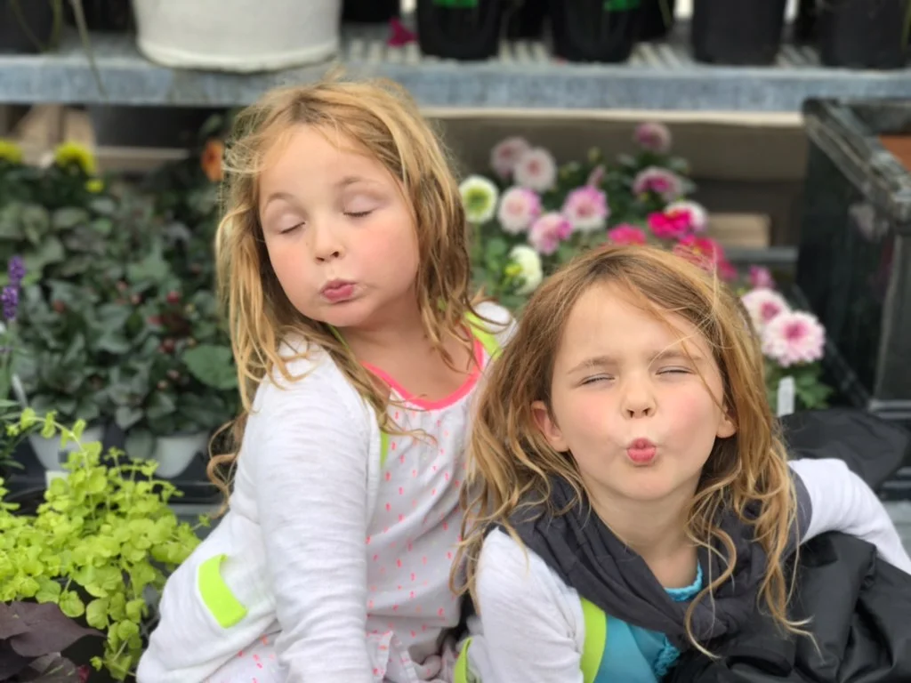 c&g flowers goofy.jpeg