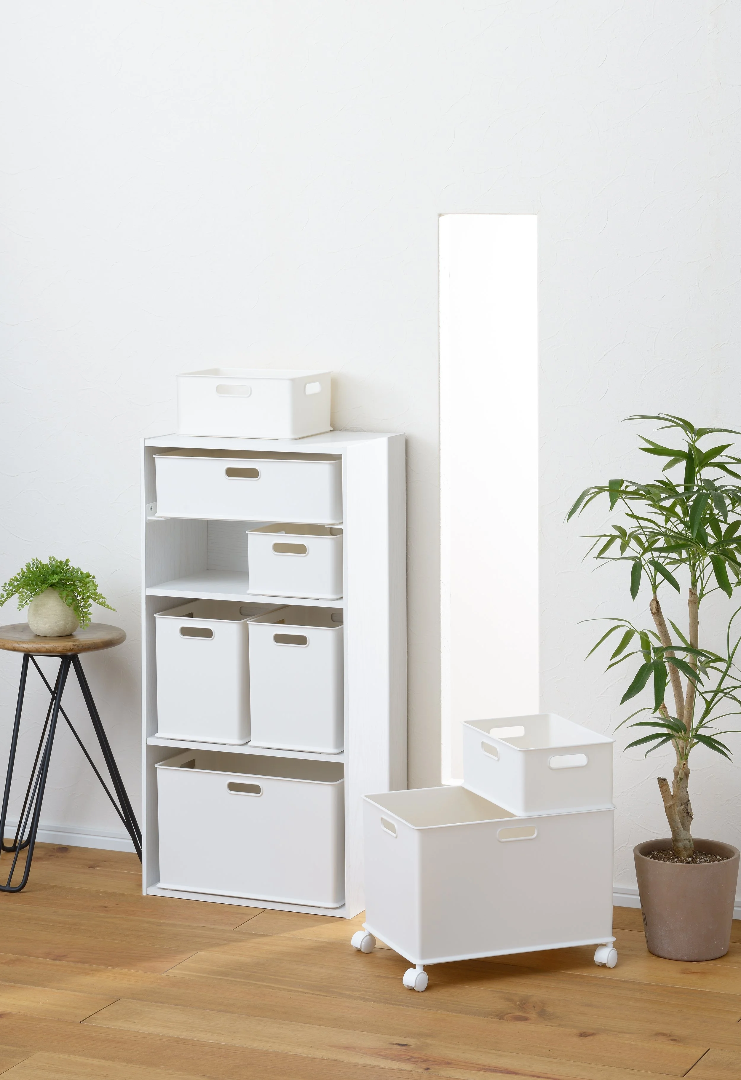 Introducing Pearl Life Storage