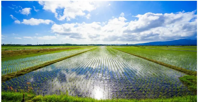 Tsubame-Sanjo: Japan’s Hidden Capital of Stainless Steel and Kitchen Craftsmanship