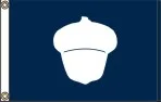 treasurer_flag.jpg