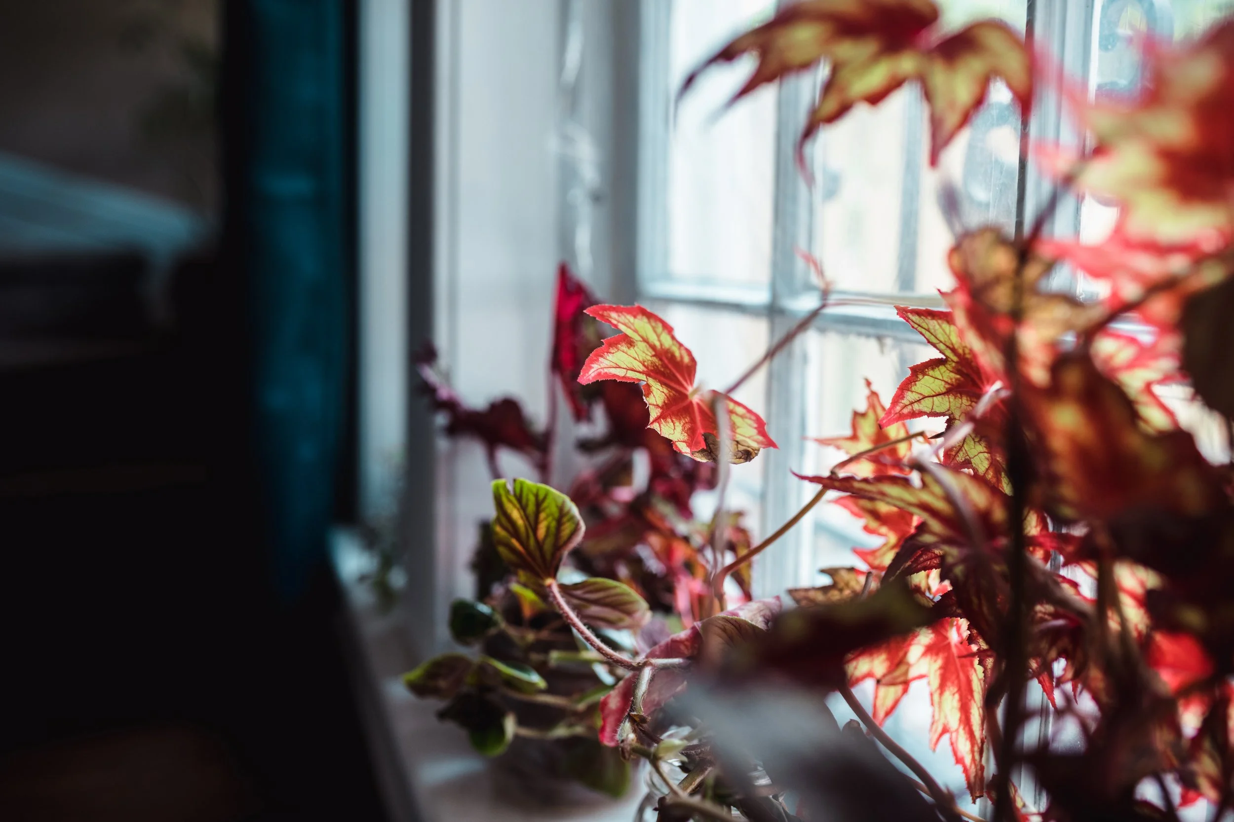 Detroit-Maternity-Photography-Emily (100).jpg