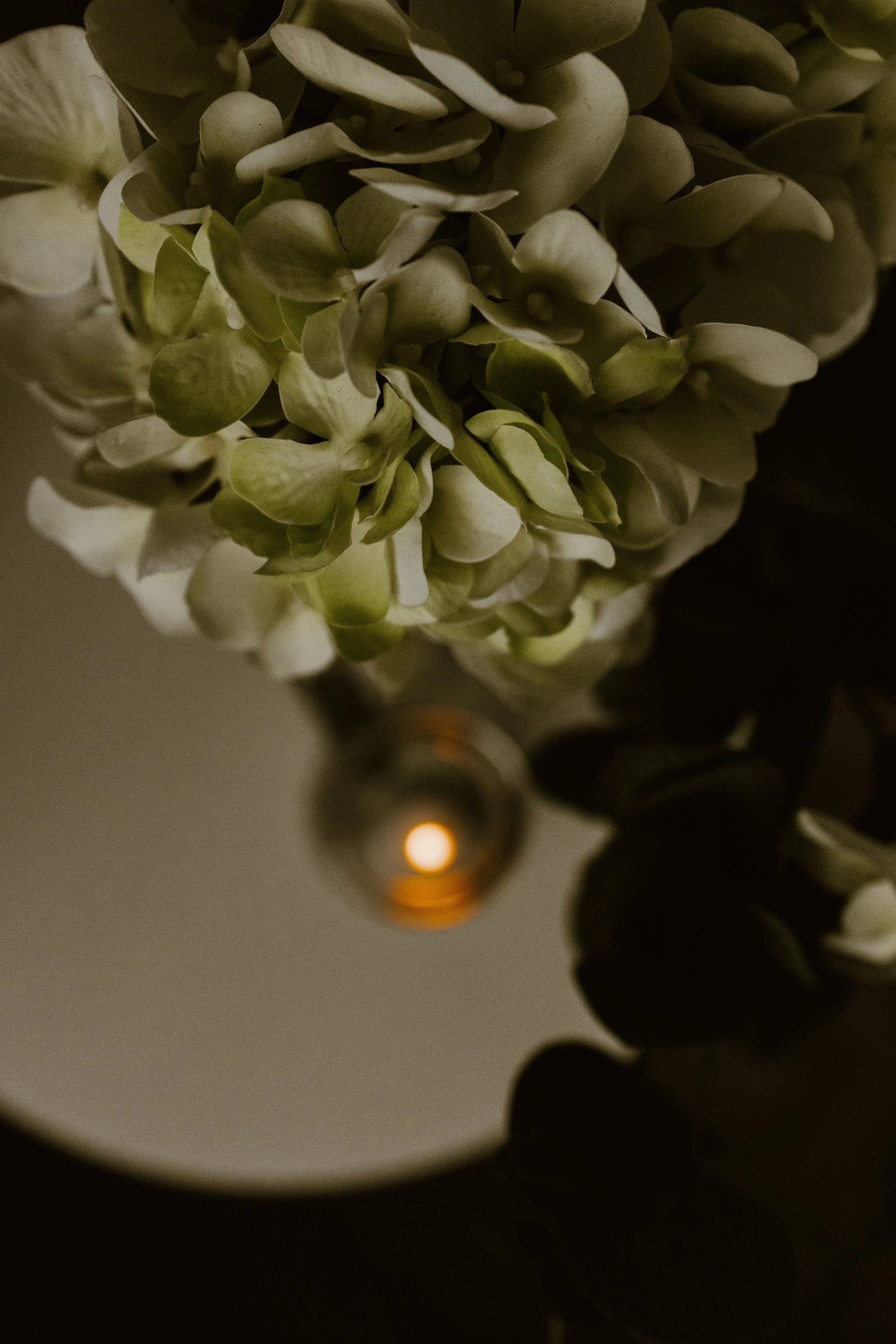 Ann-Arbor-Pregnancy-Photography-82.jpg