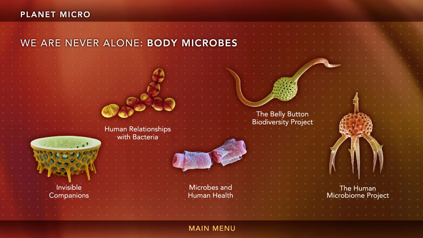 Planet_Micro_02_BodyMenu.jpg