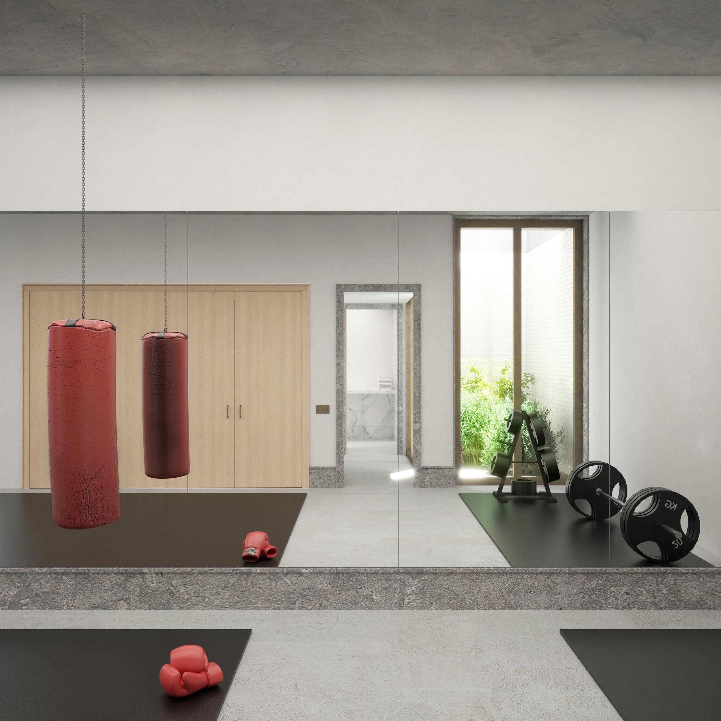 9. Gym Mirror.jpg