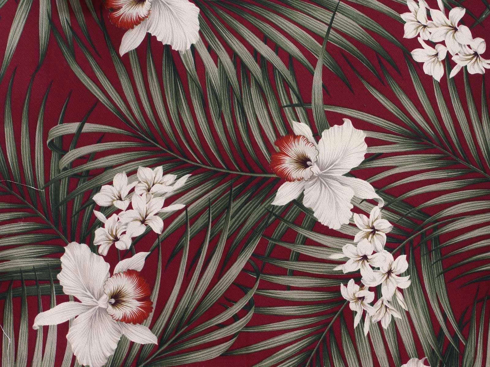 FERN RED