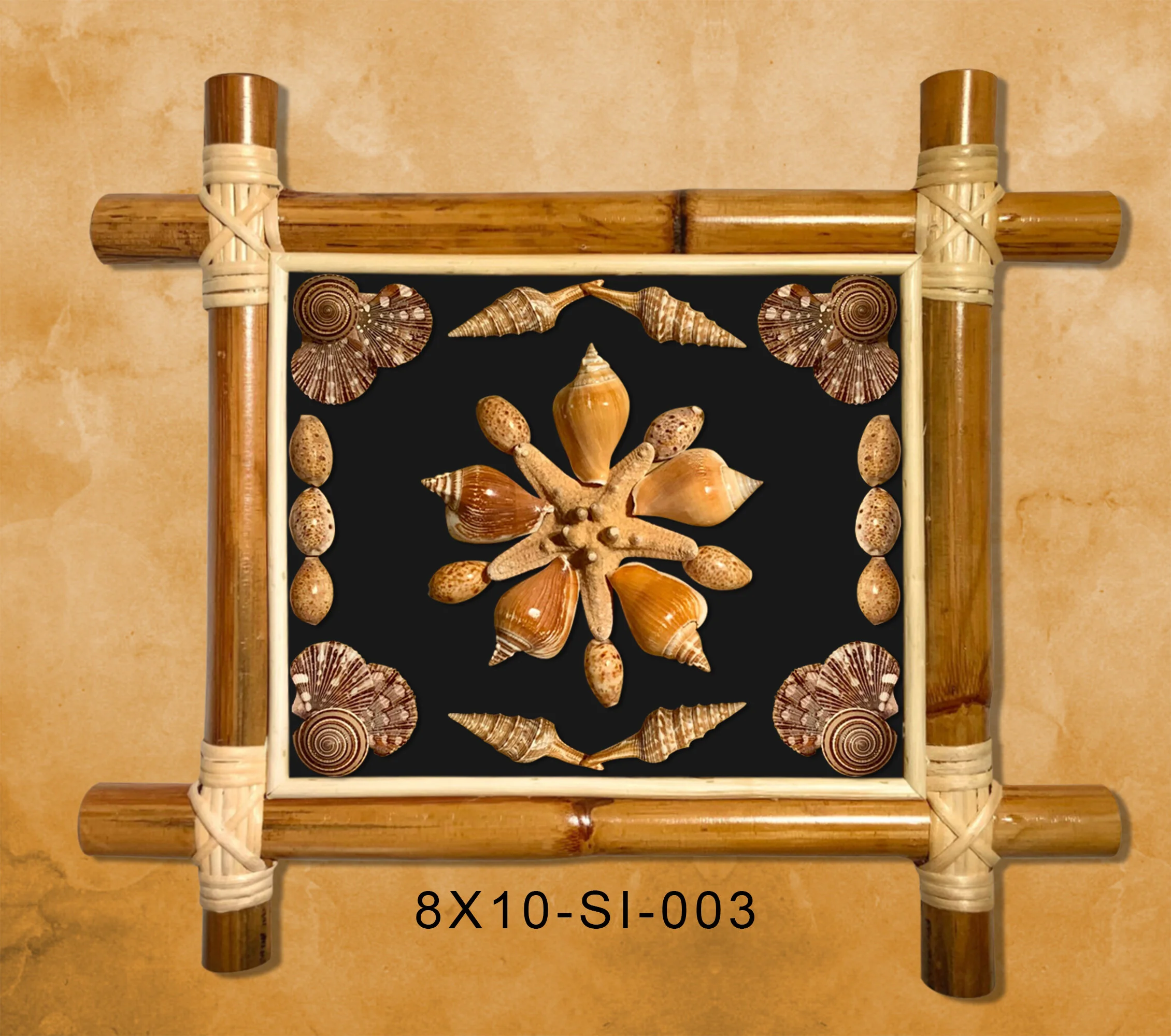SHELL DESIGN 65 BLACK BG MARBLE WALL RAIN FOREST FRAME 8X10.JPG