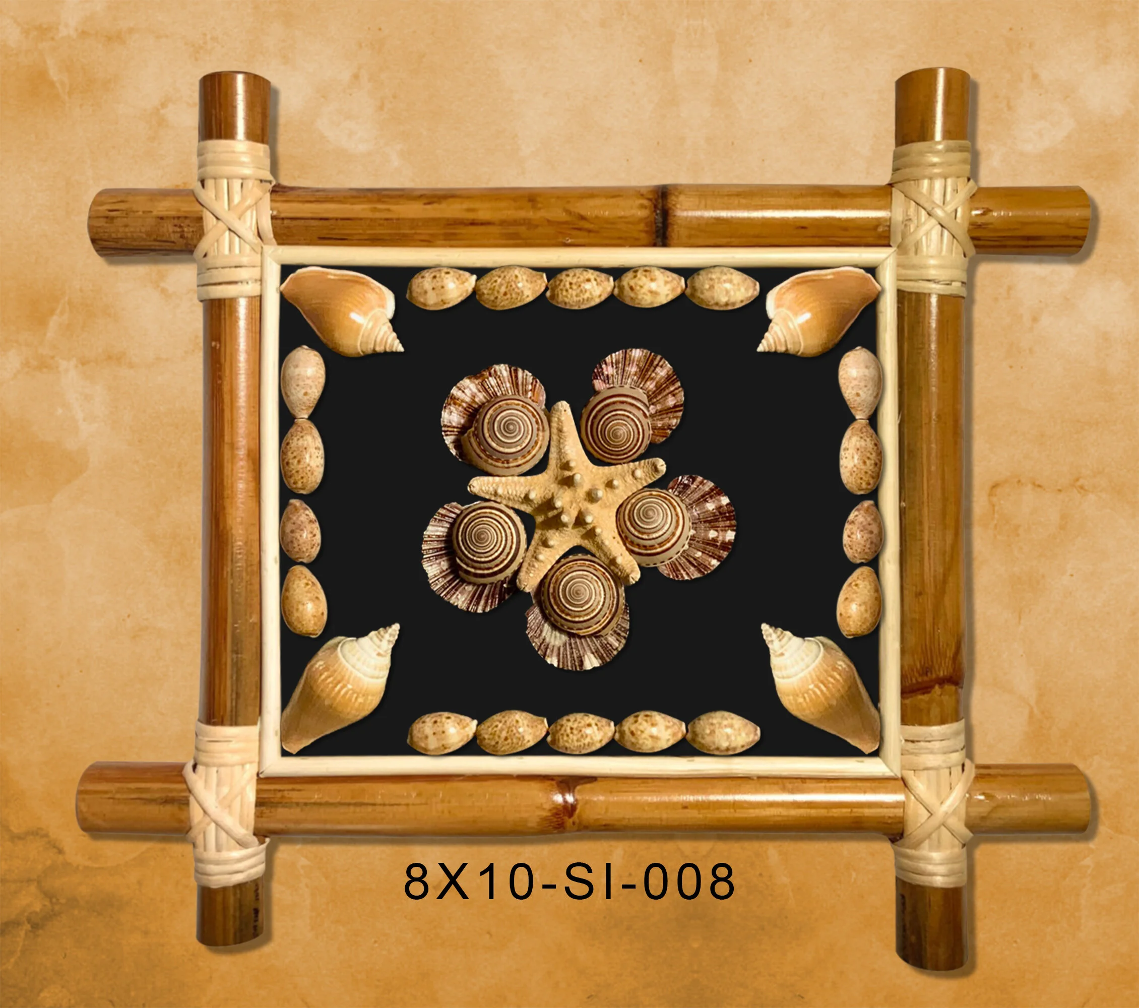 SHELL DESIGN 91 BLACK BG MARBLE WALL RAIN FOREST FRAME 8X10.JPG