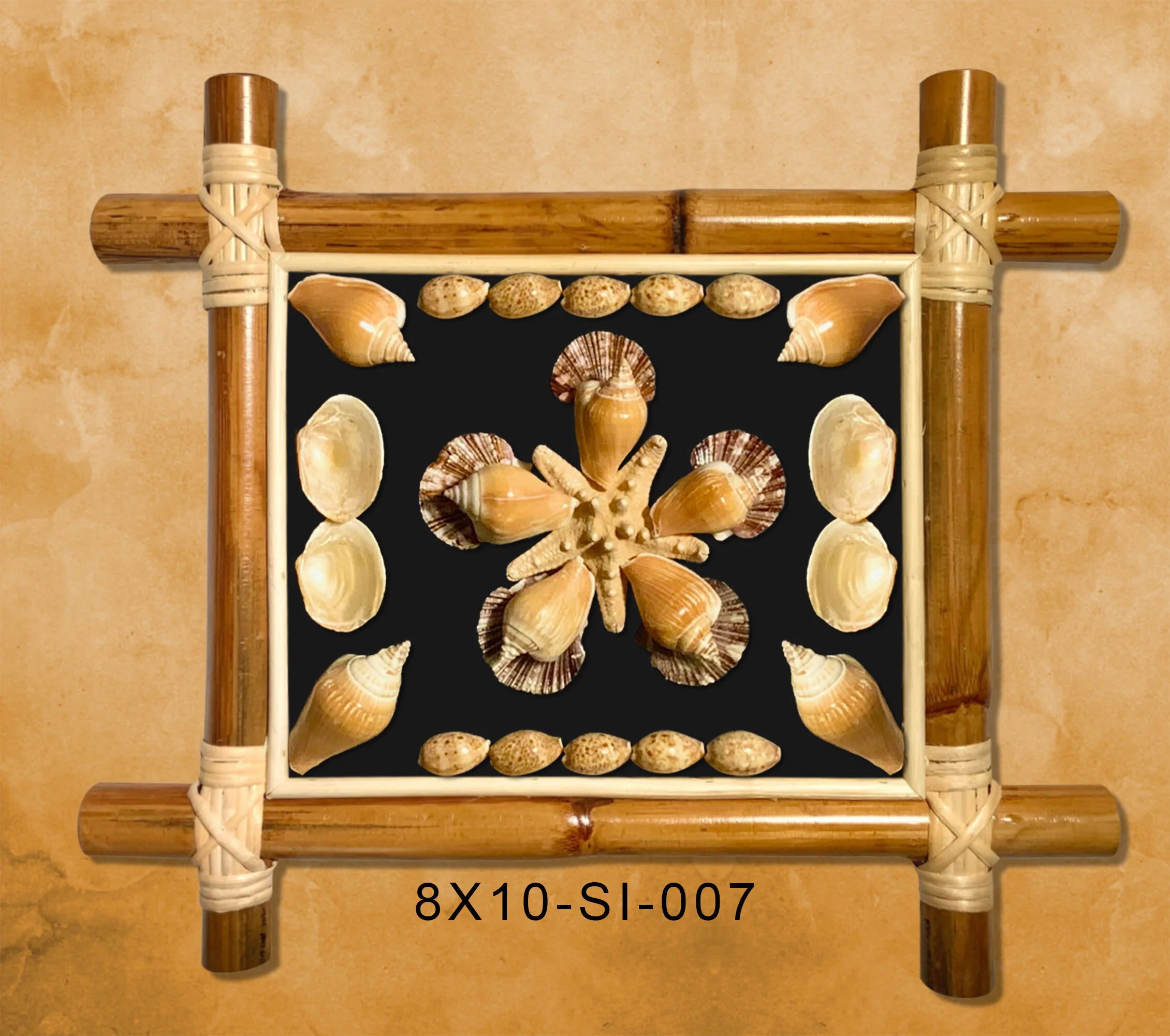 SHELL DESIGN 90 BLACK BG MARBLE WALL RAIN FOREST FRAME 8X10.JPG