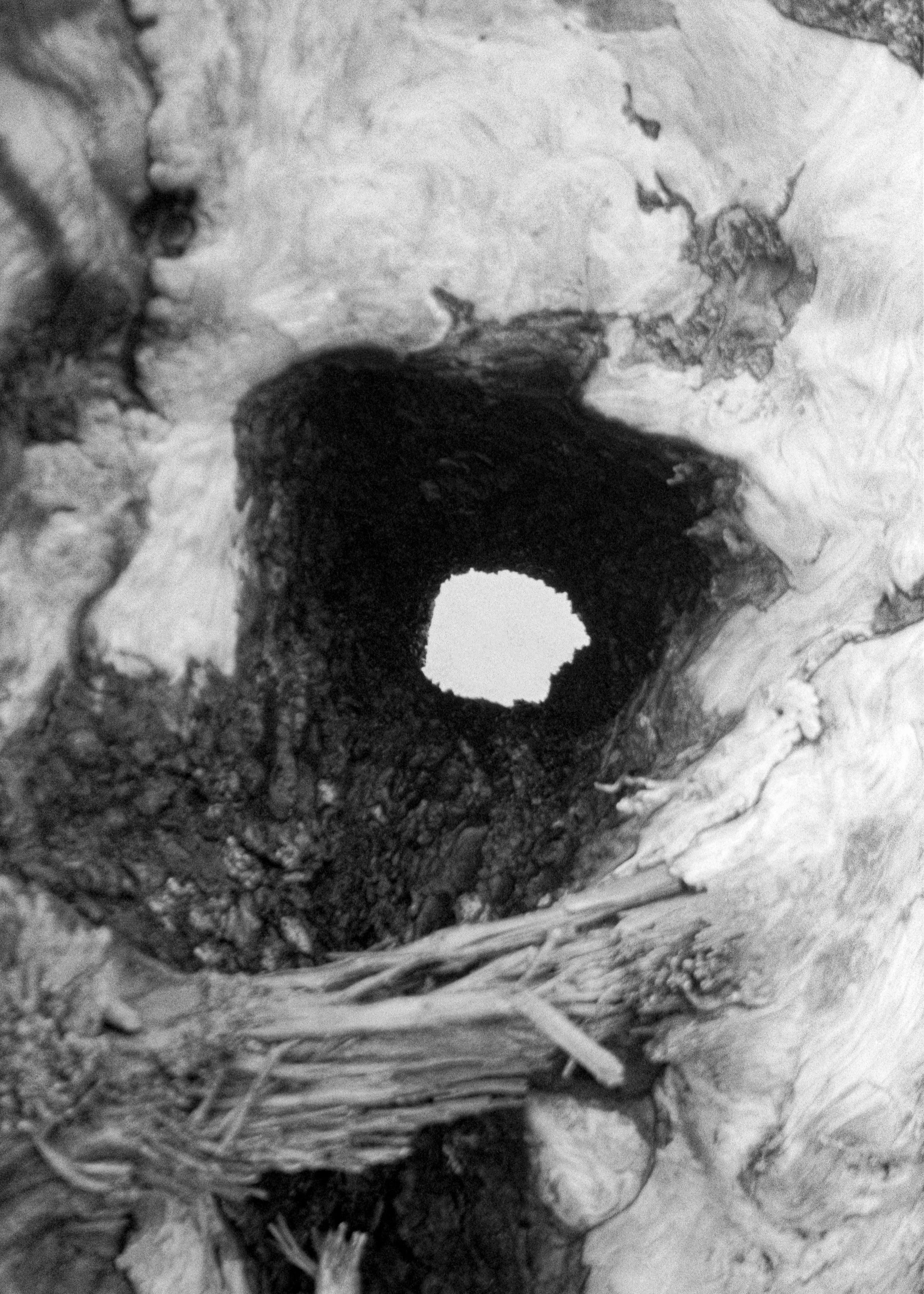bank-scans-29.jpg