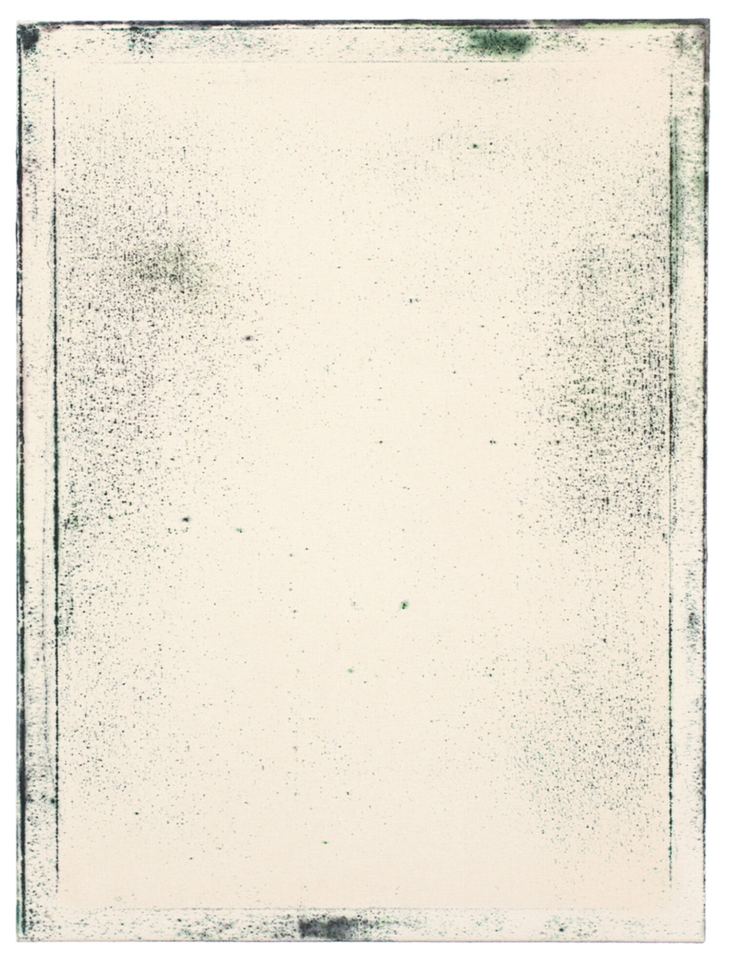  Waterhome Screen, 2012  100 x 75 cm. oil on canvas (sized with rabbit skin glue) 