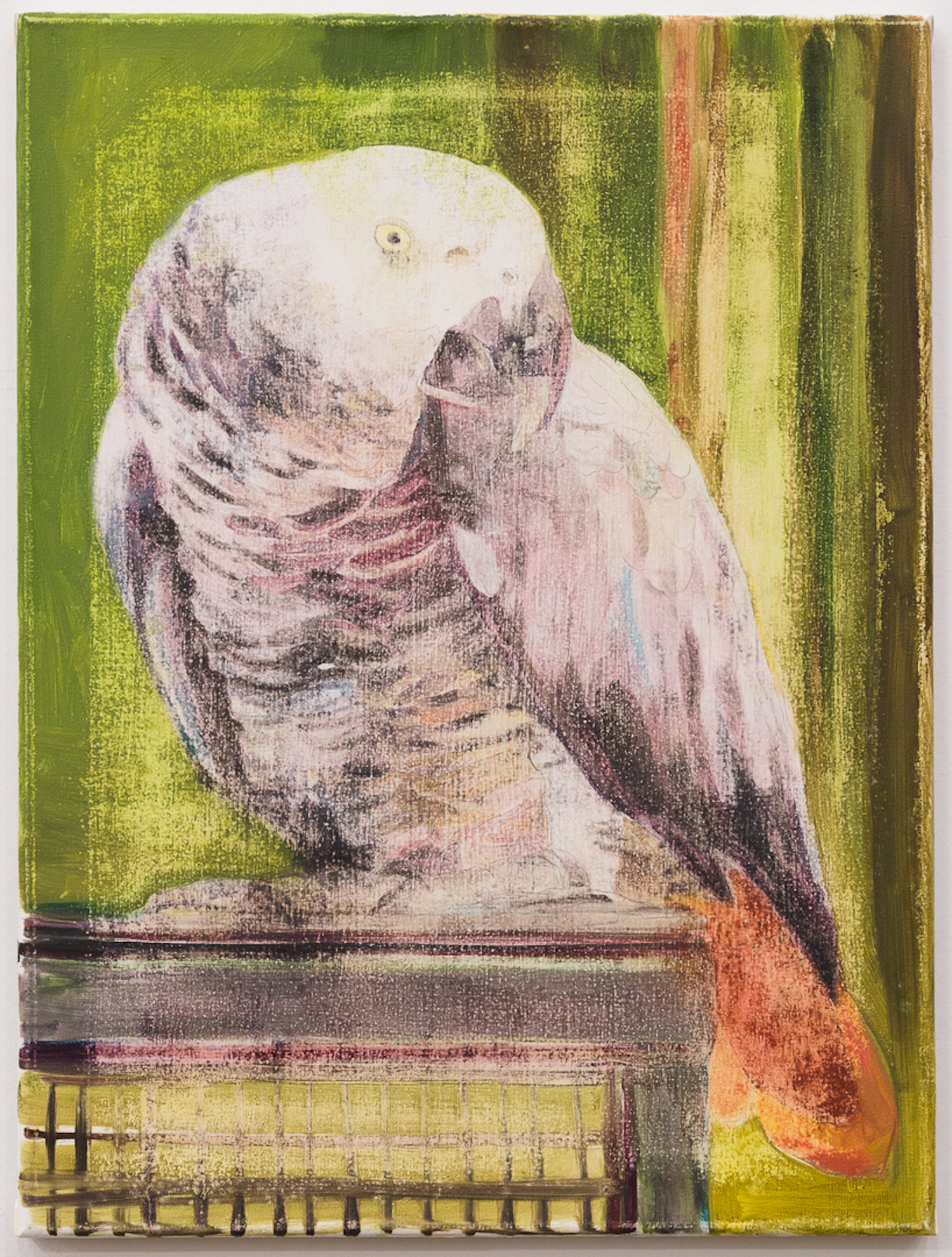  Barney, 2015  65 x 45 cm. oil on canvas 