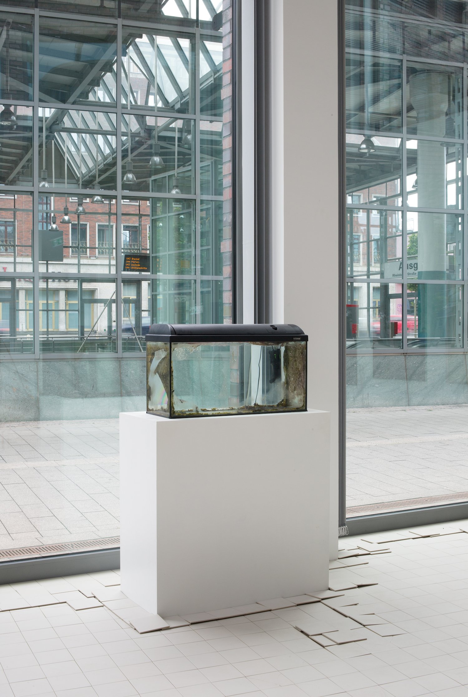  Waterhome  2009 to present  readymade aquarium, water filter, algae, plinth.  at the Dortmunder Kunstverein. August, 2022 