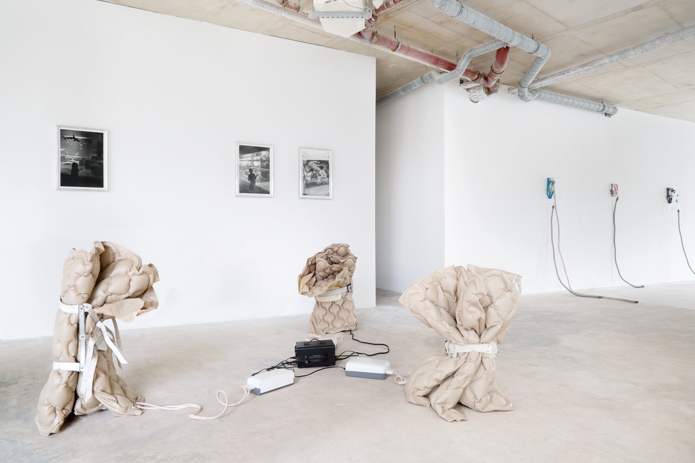  Wet Resistance (pictured works by Berenice Olmedo and Julian Irlinger)  at the Dortmunder Kunstverein. August, 2022 