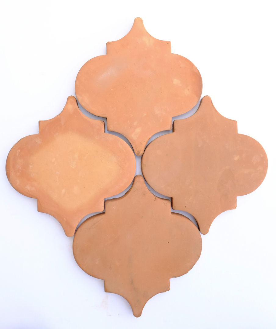 6" Tortuga Regular Saltillo