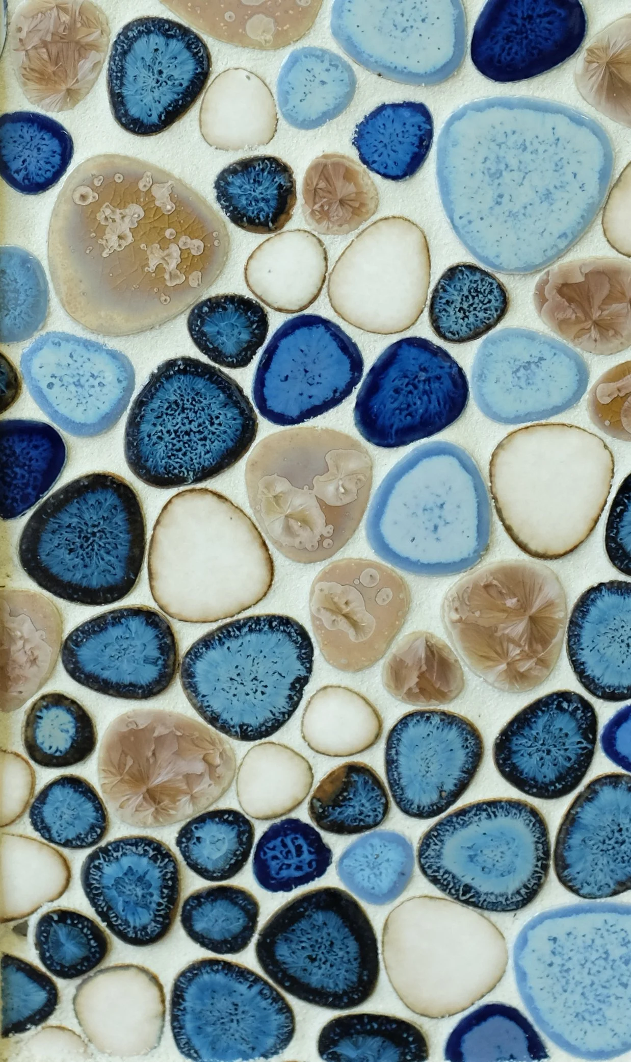 DMT 156 Growing-Seaside, 11.5x11.5