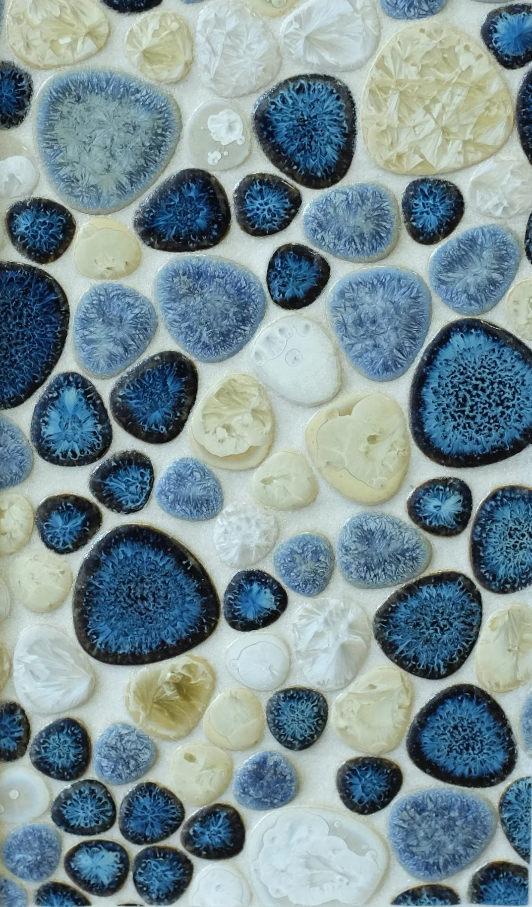 DMT 156 Growing-Ocean, 11.5x11.5