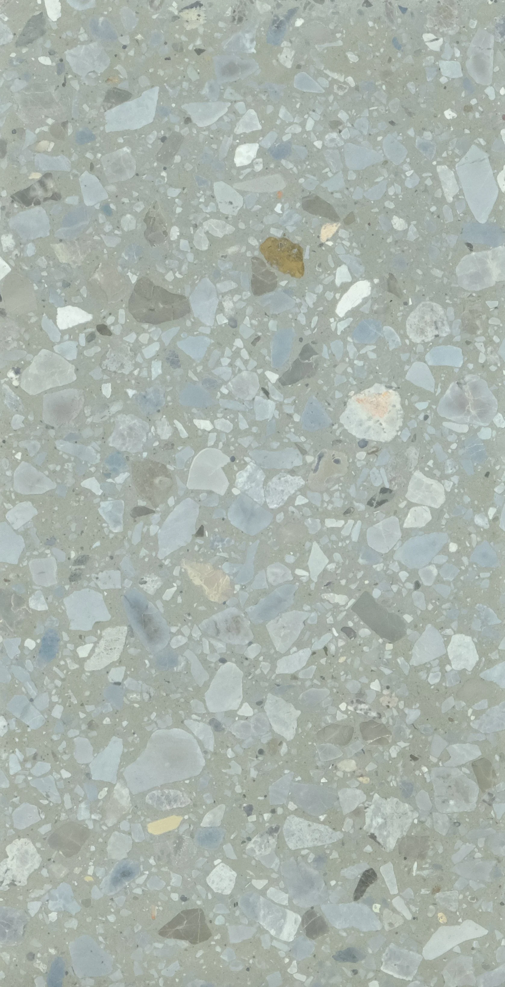 True Terrazzo — D'Mundo Tile