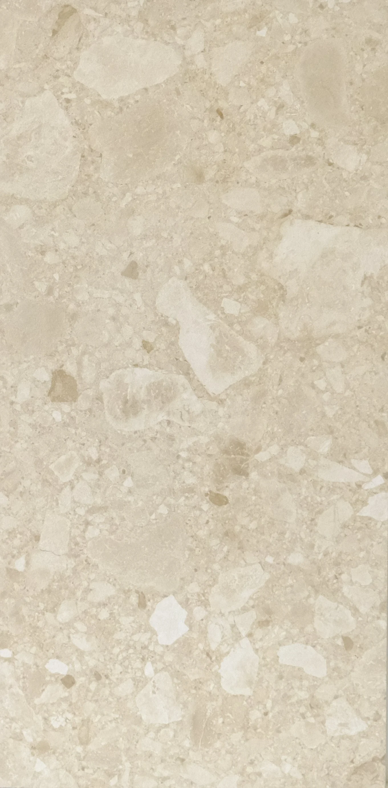 Porcelain 12x24 — D'Mundo Tile