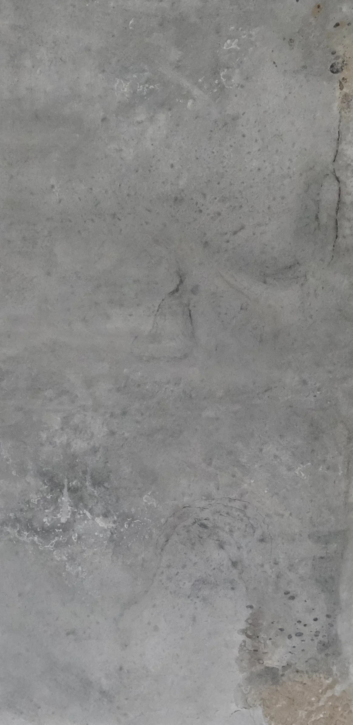 DMT 122 LCX002-2 High Variaton(12x24)