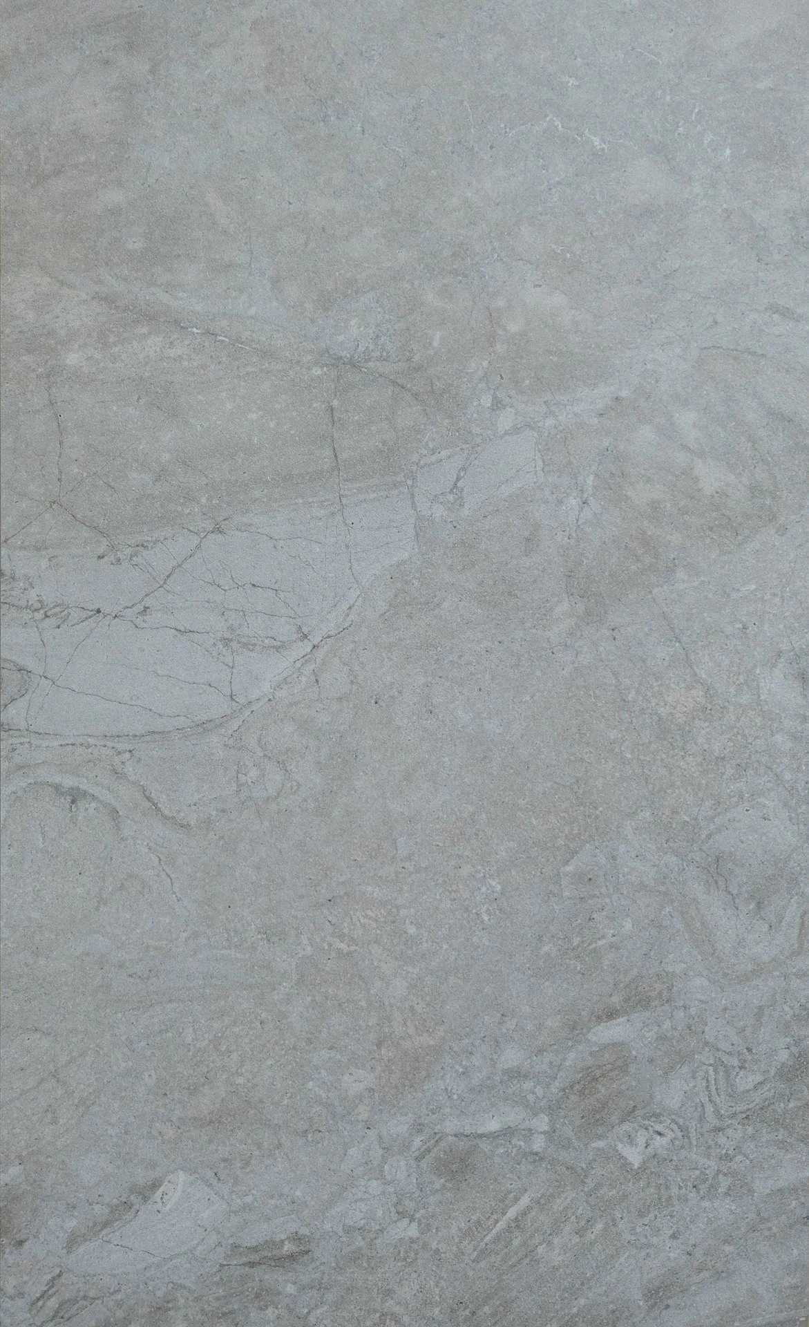 DMT 212 Esperito Pearl Gray 24x48