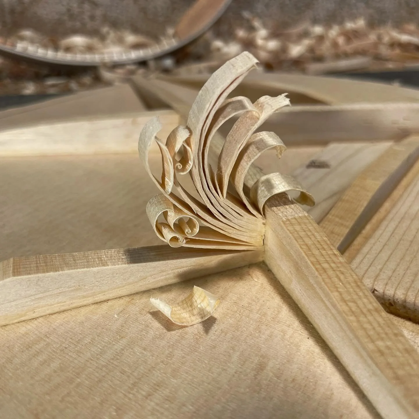 Brace carving
-
#braces #braceyourself #sitkaspruce #sitka #chisel #woodworking #woodcarving #woodshavings #woodworker #luthier #luthiery #macromonday #loothing #luthierlife #whatsonyourbench #grain #grainy #tonewood #acousticguitar #guitarbuilding