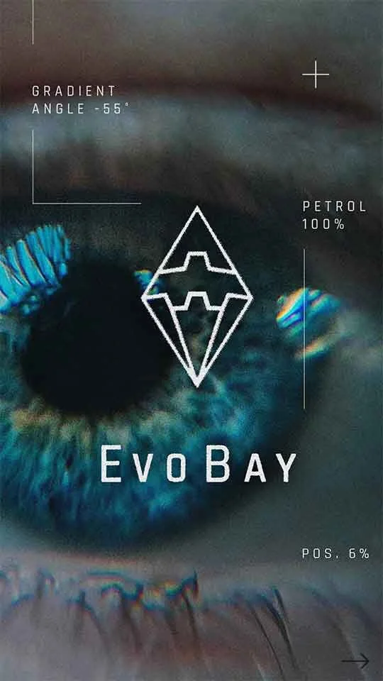 200115_Highlight_540x960_Logo_Evo.jpg