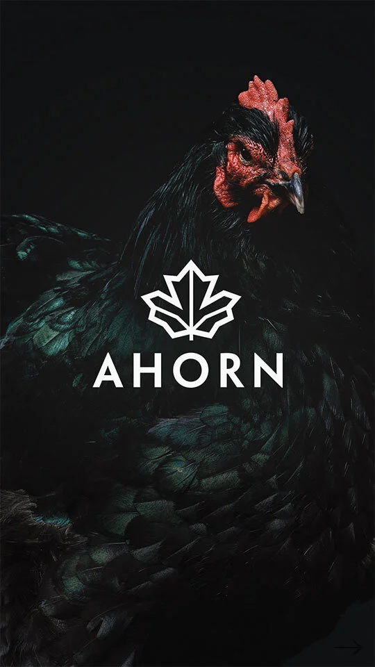 200116_Highlight_540x960_Logo_Ahorn.jpg