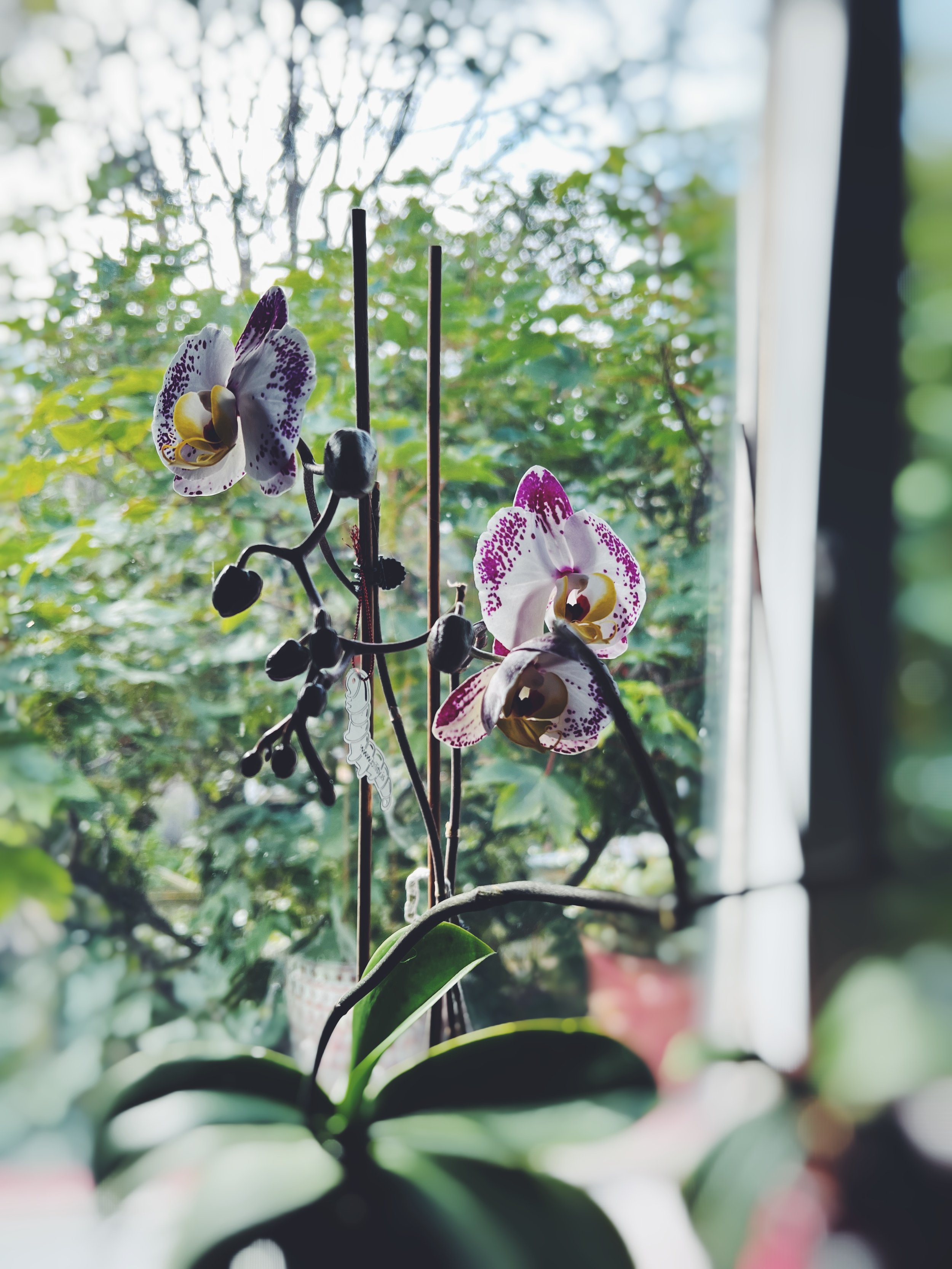 Velkomin! Fjölskylda &amp; auðvelt...