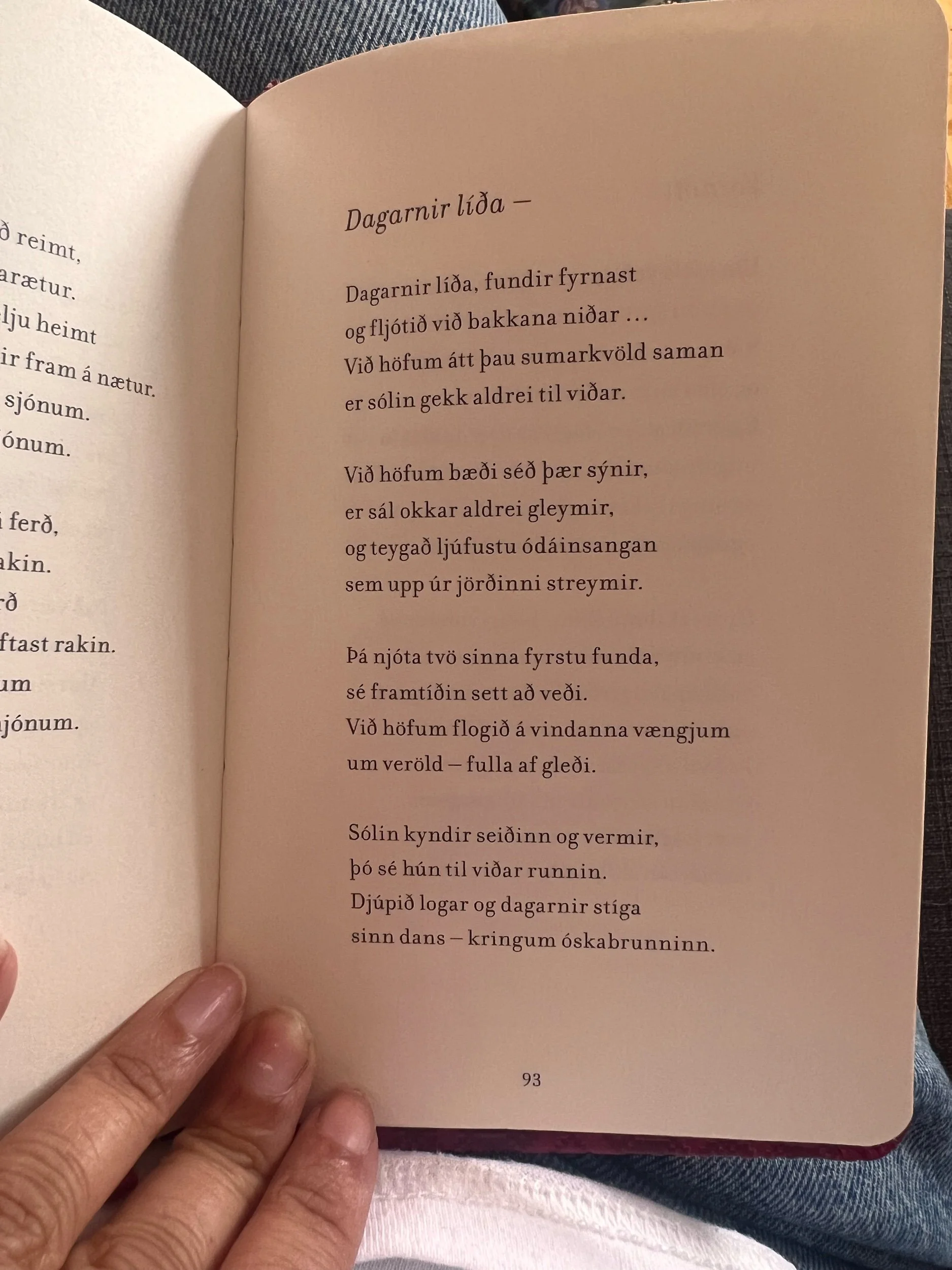 Dagarnir líða (DS)