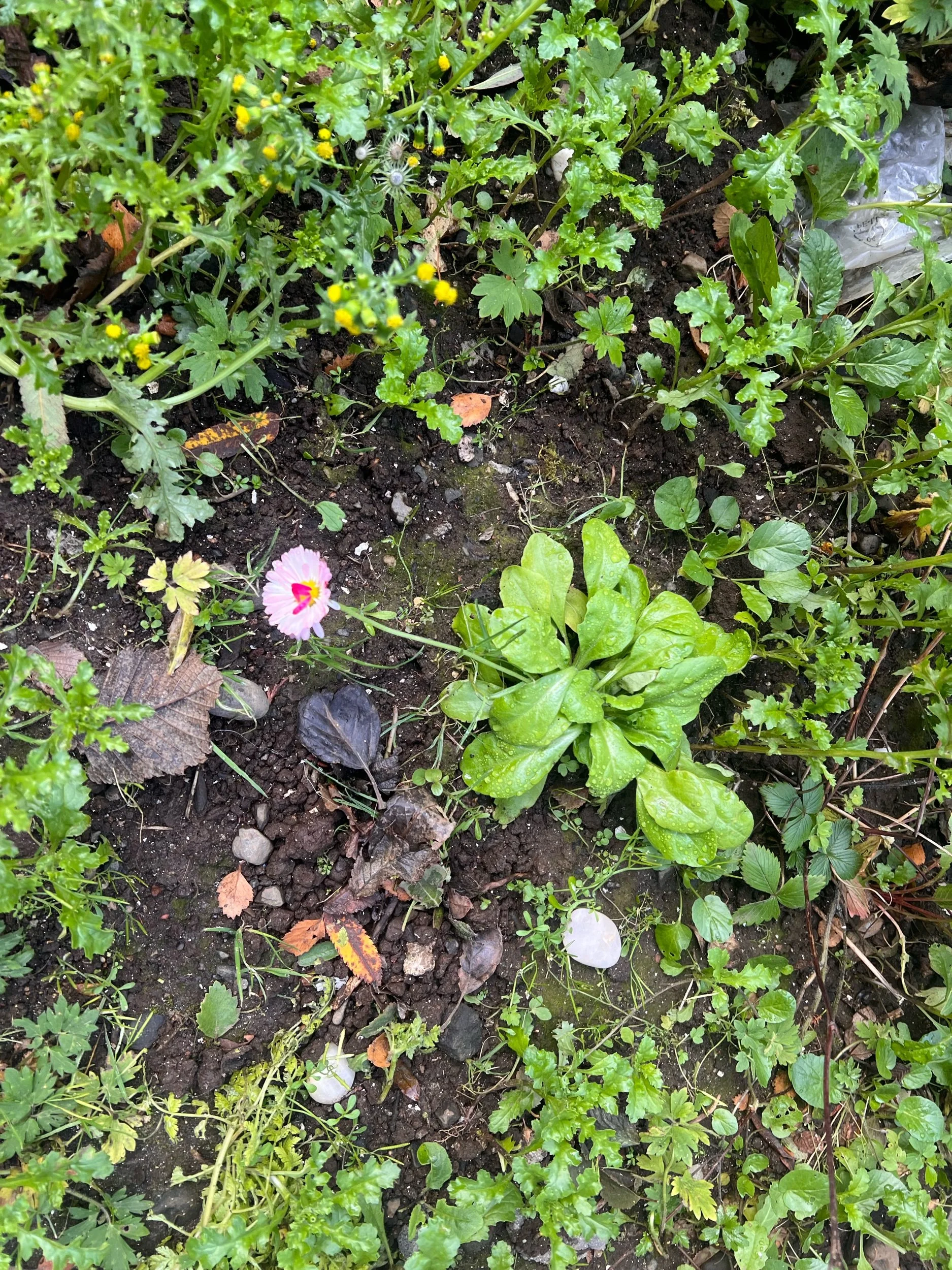 Aðeins um hversdagsfordóma