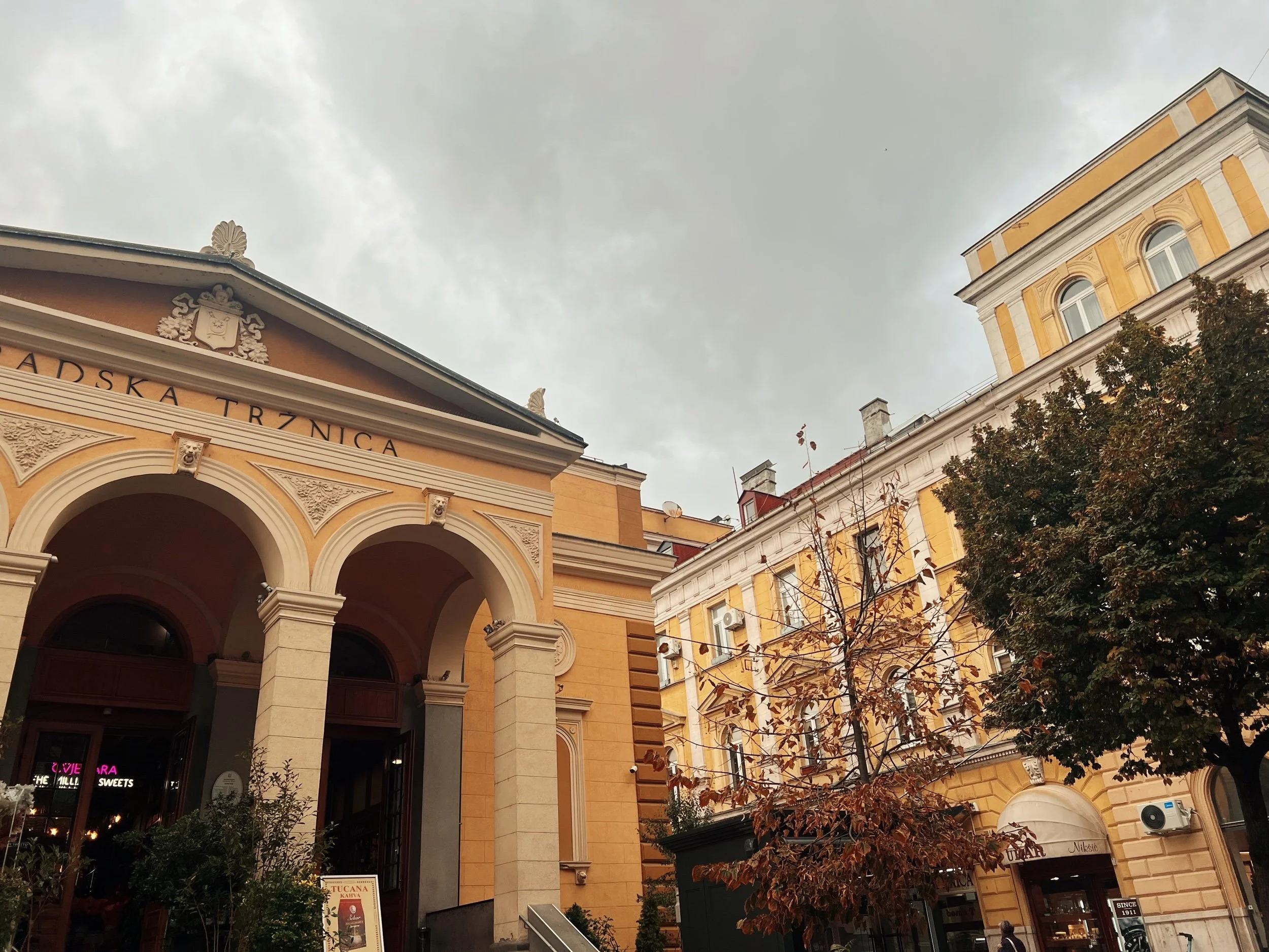 06FE48CE-A5B4-4455-860A-EE5E61472EC9.jpeg
