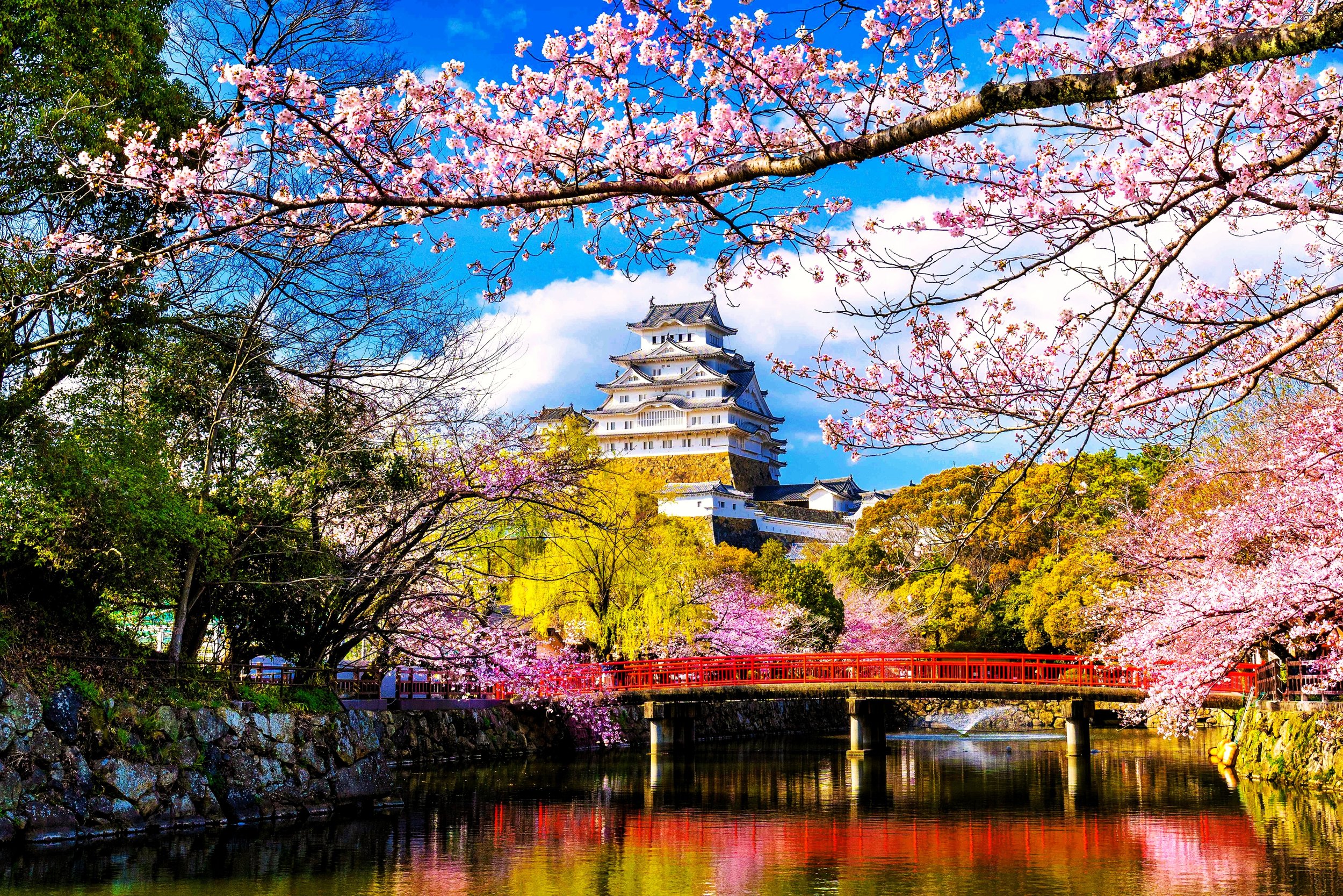 A Flourish of Japanese Culture