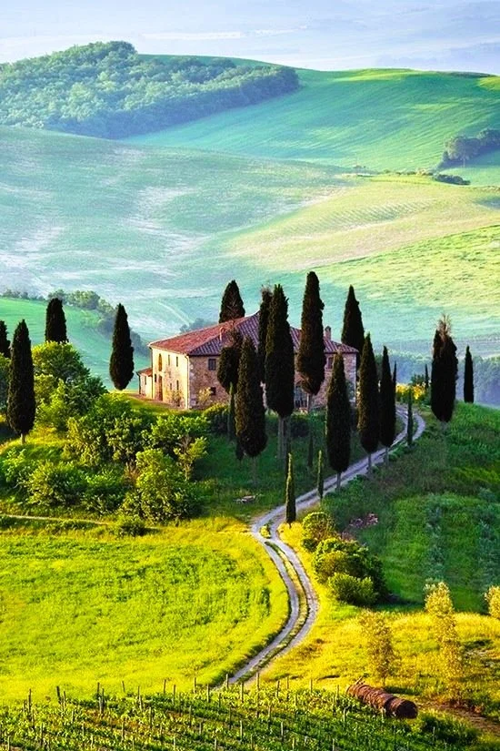 Excursions into the vineyards of Tuscany, Italy
