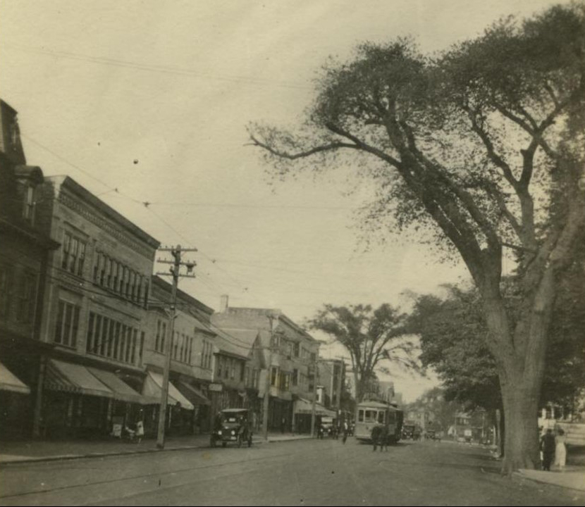Broadway at Spring/Bull (City Hall Square) C. 1916. This is in front of City Hall, looking north up Broadway. Note the wonderful elm trees which use to be so common in Newport.