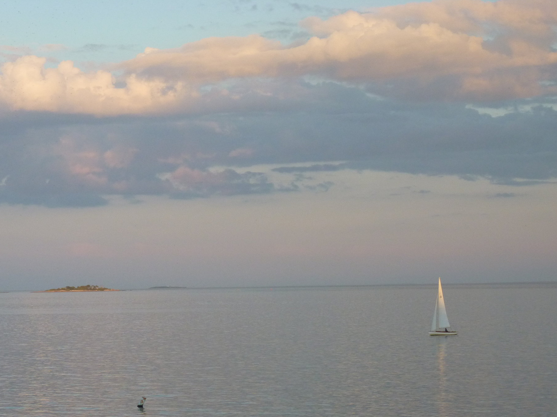 A Journal Entry for July 4th Week