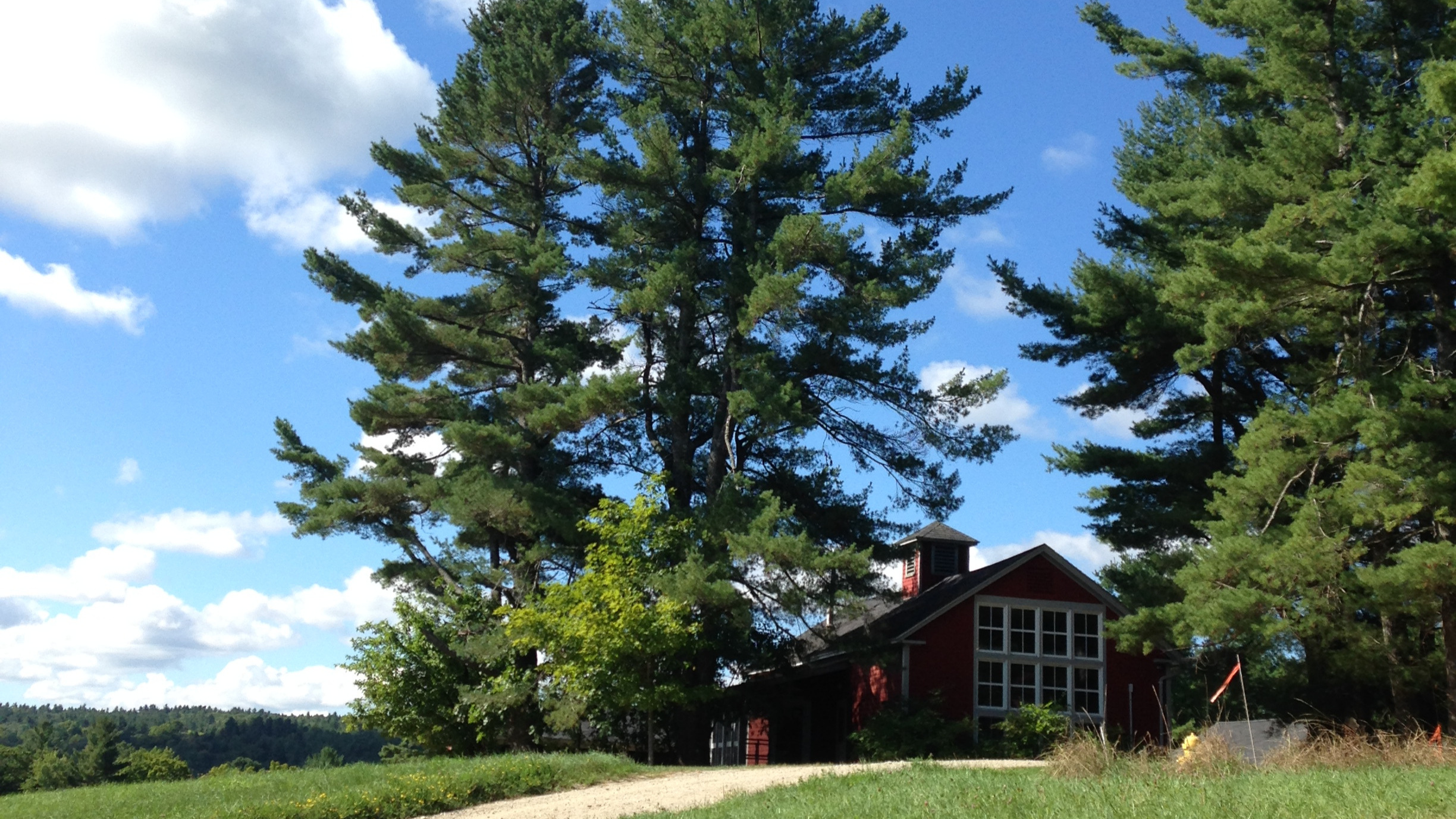 MacDowell Colony in the summer. (photo by Dan Millbauer)
