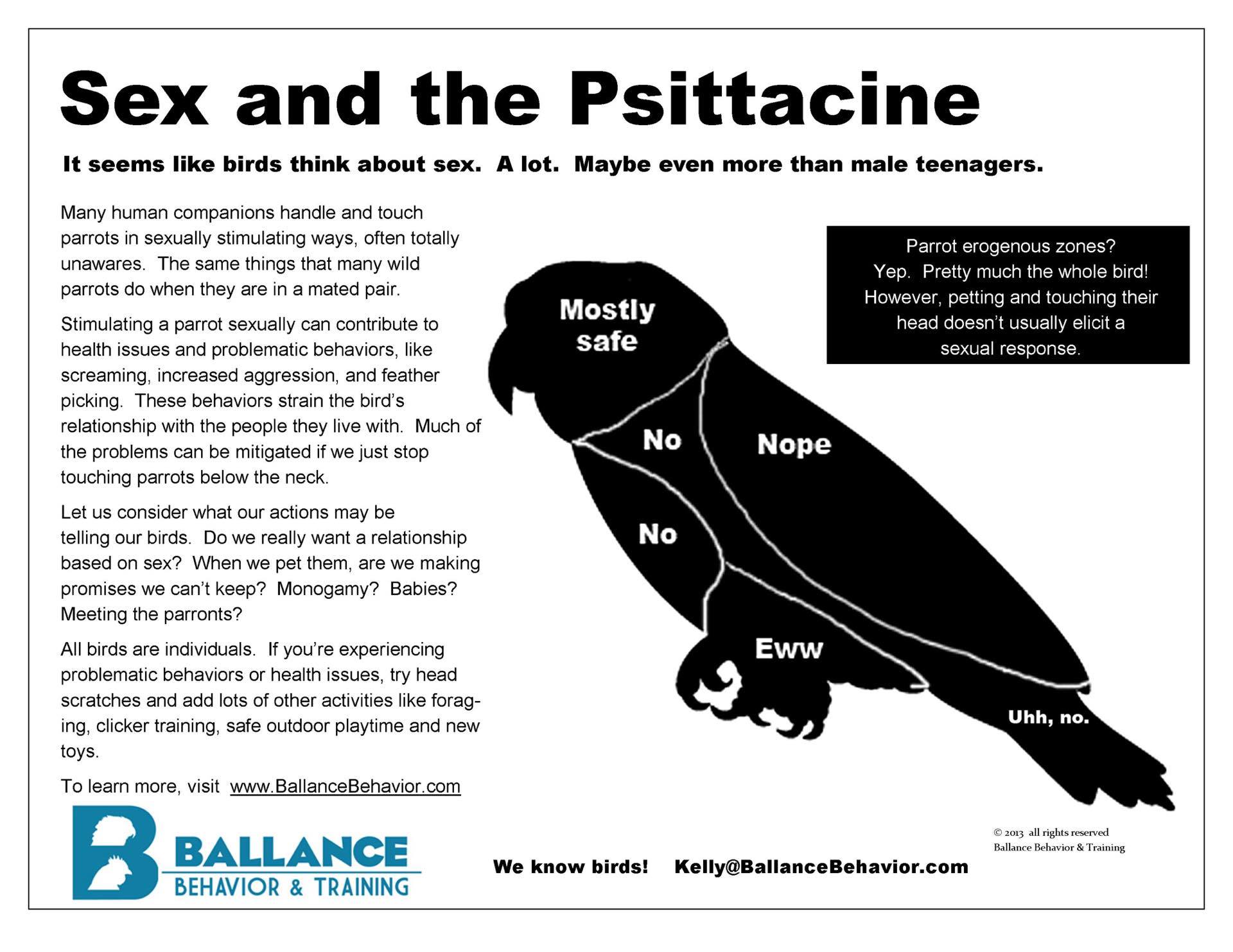Sex and the Psittachine.jpg