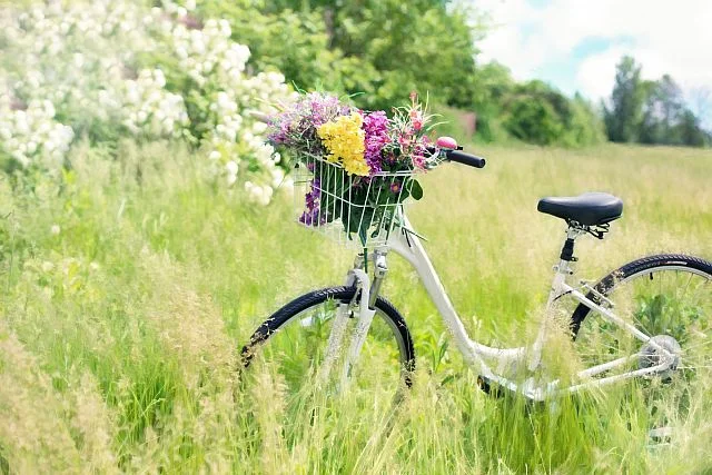 bicycle-with-flowers.jpg
