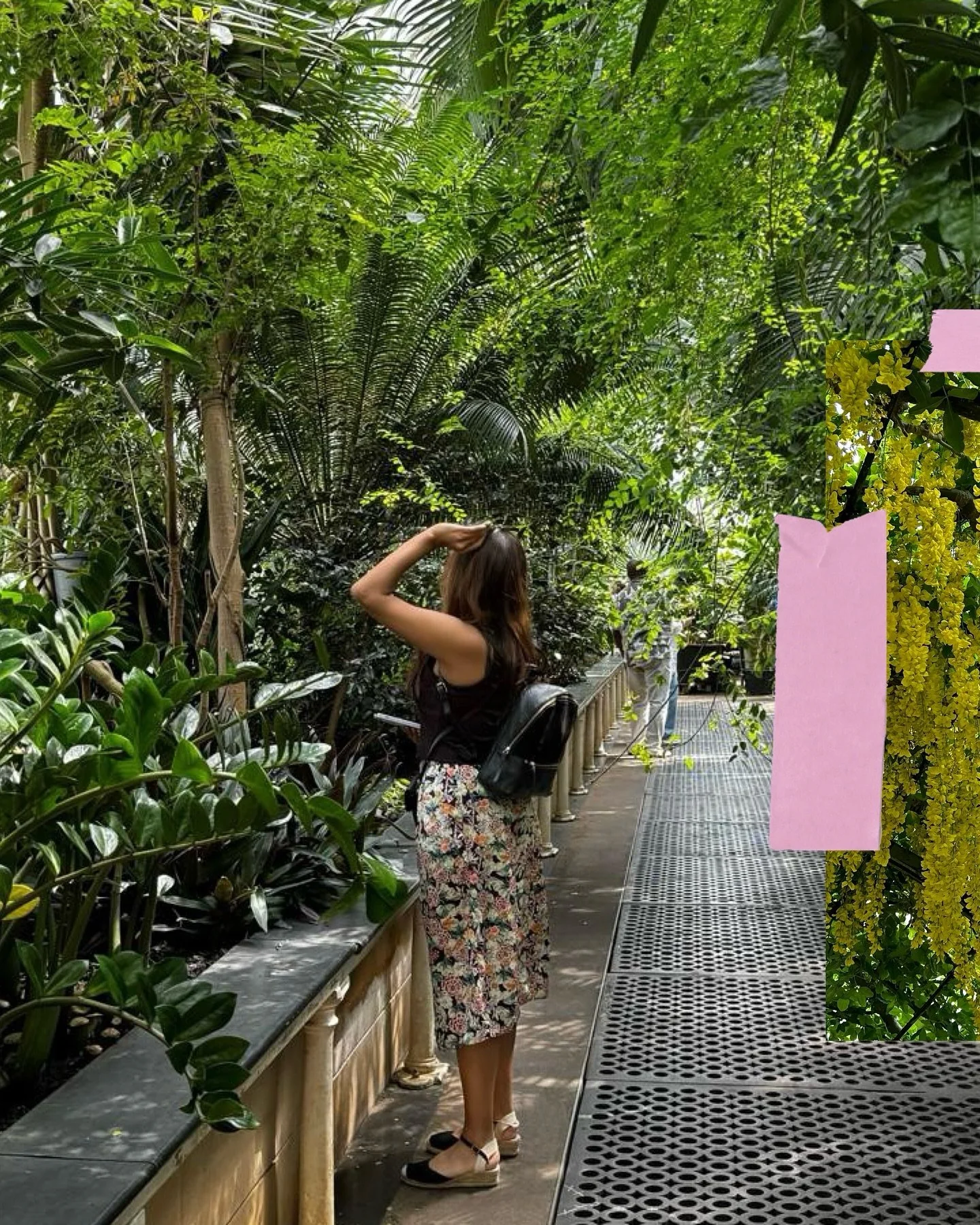 A few from Kew 🌸🪻🌼🌷🌺

#kewgardens #nature #flowers @kewgardens