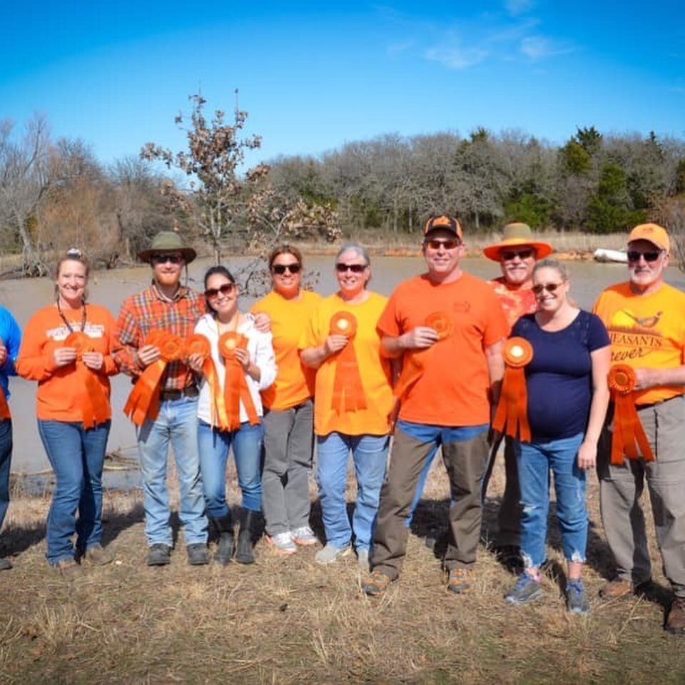 Congratulations to all the ribbon winners of the NTSSC 2020 Spring Hunt Test