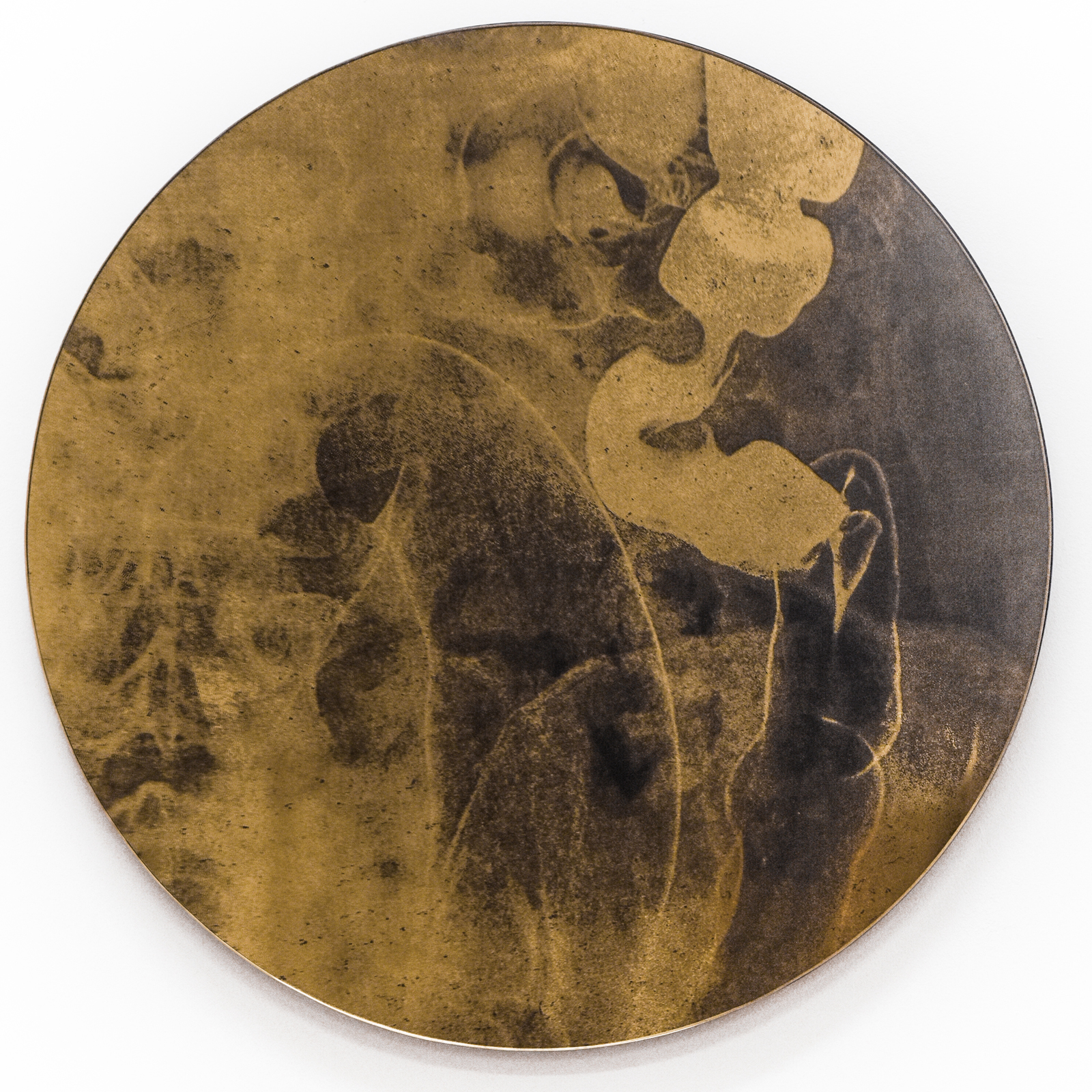 IN MY GUTS- ACT II acrylics on mirror glass & wood, unique screen print from human x-ray Ø 52 cm x 3 cm, 2018