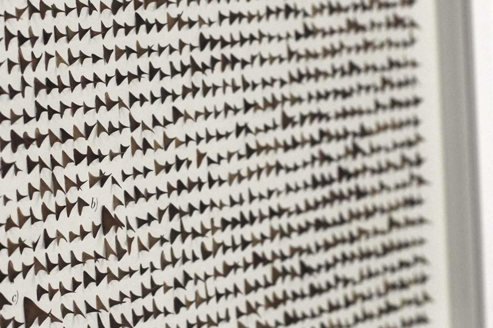 WORK DETAIL of DOLOR, OMNIS