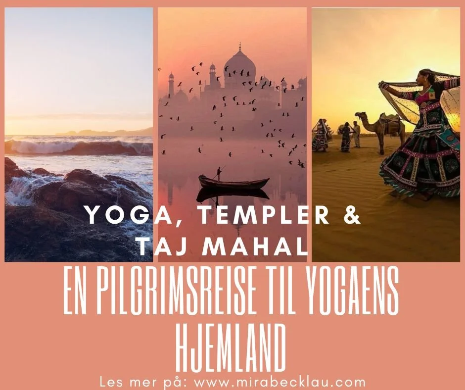 Yoga, templer & Taj Mahal - en pilgrimsreise til yogaens hjemland
