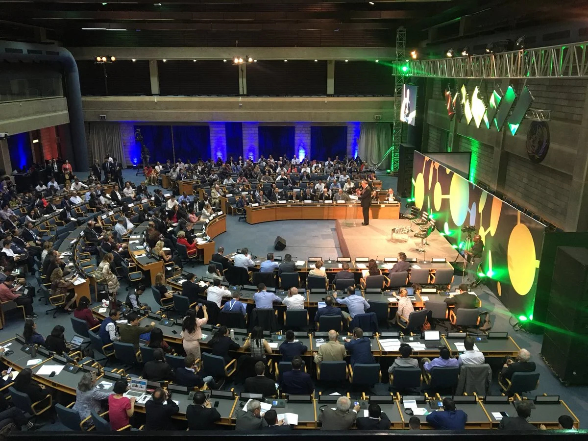 UNEA 4 MONITOR: Science- Policy-Business Forum; Redressing Global Food Systems | The Youth Cafe