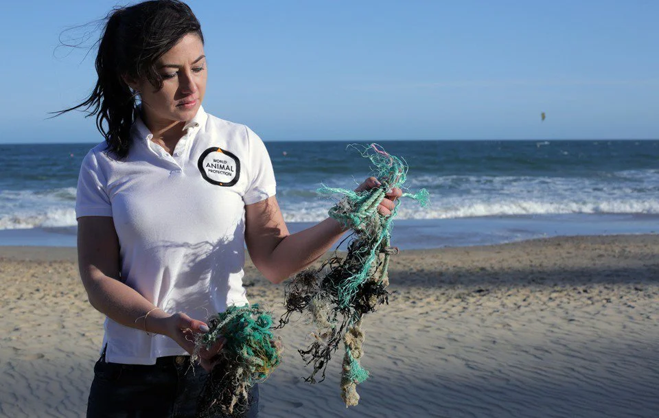 UNEA 4 MONITOR: #BreakFreeFromPlastic | The Youth Cafe