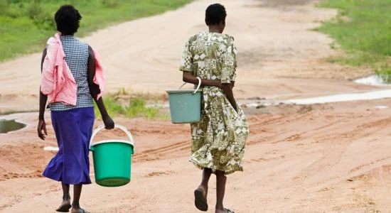 STORIES FROM UNEA GREEN TENT | Humans Use 80% of the  World’s Land to Feed Animals | The Youth Cafe