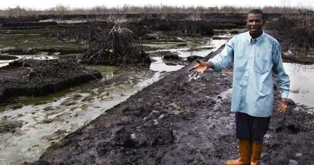 Countries Propose a Treaty  to End Corporate Impunity | The Youth Cafe