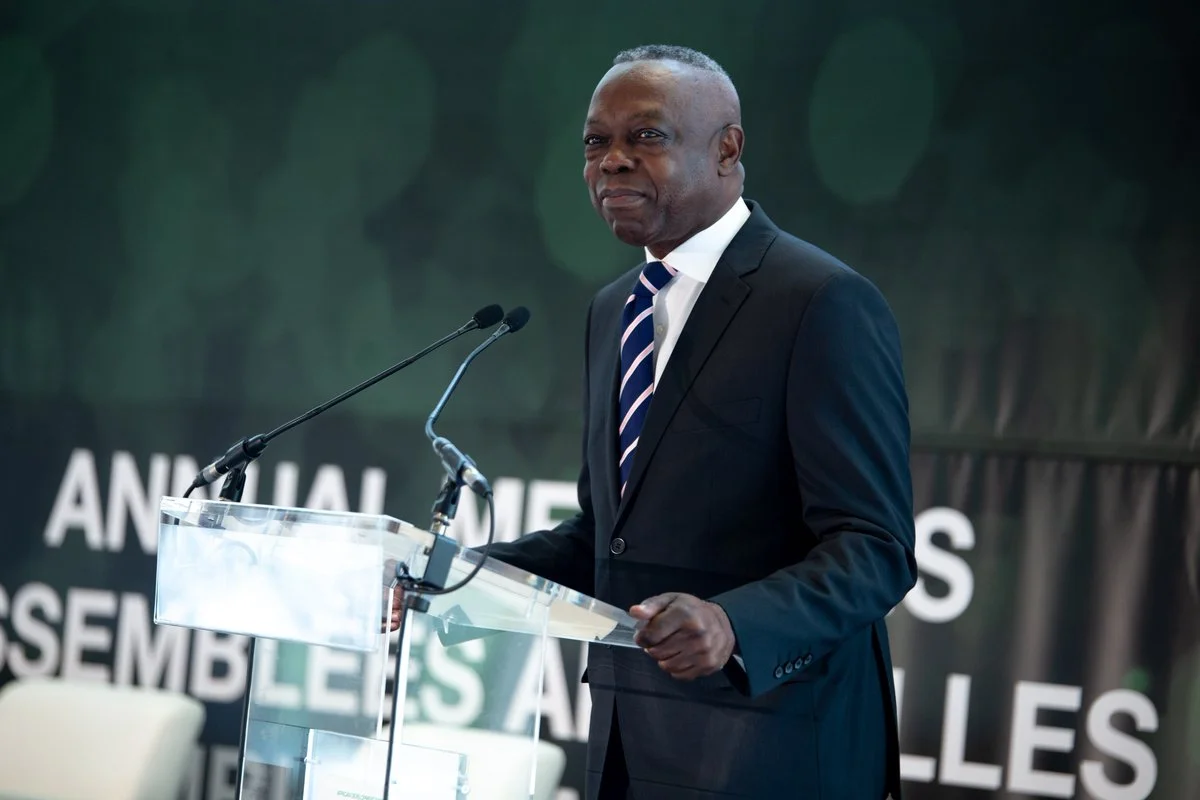 Despite Challenges, Africa's Debt Is Still Under Control Says African Development Bank | The Youth Cafe