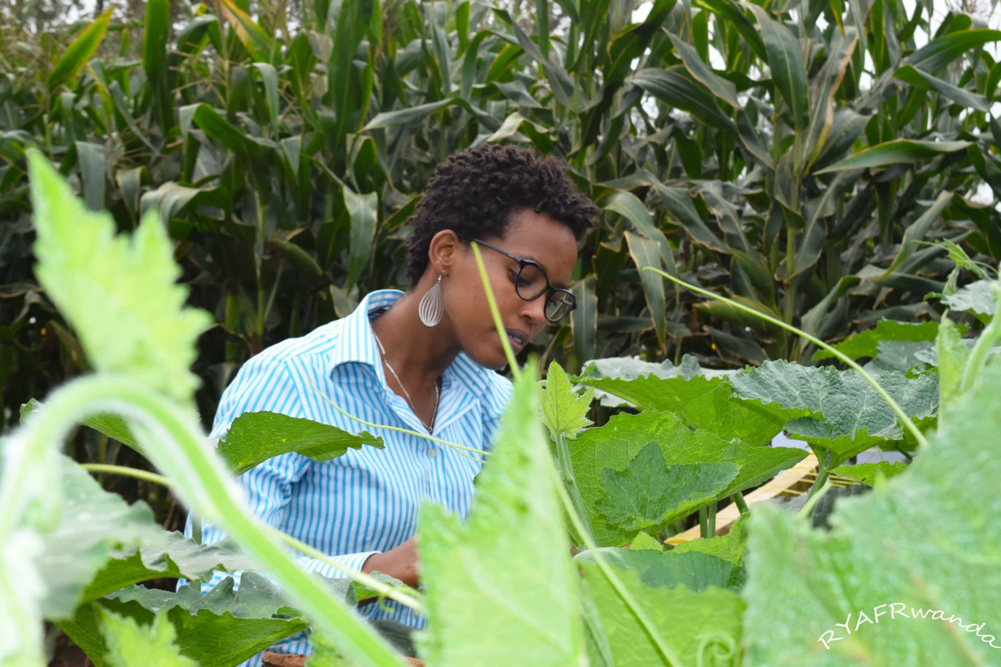 Youth As A Smart Investment | The Youth Cafe