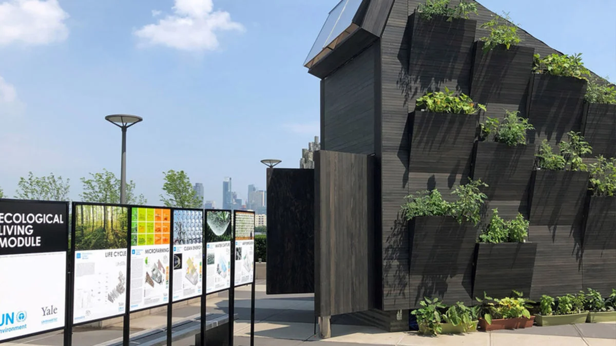 Infrastructure, Cities and Local Action